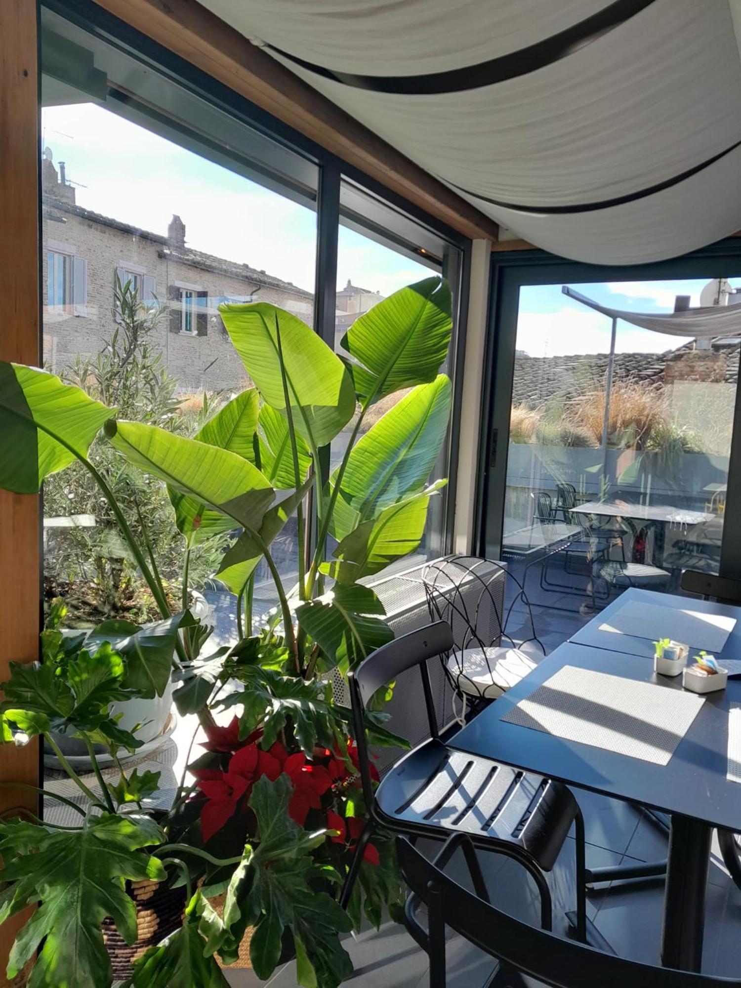 Priori Secret Garden 4*